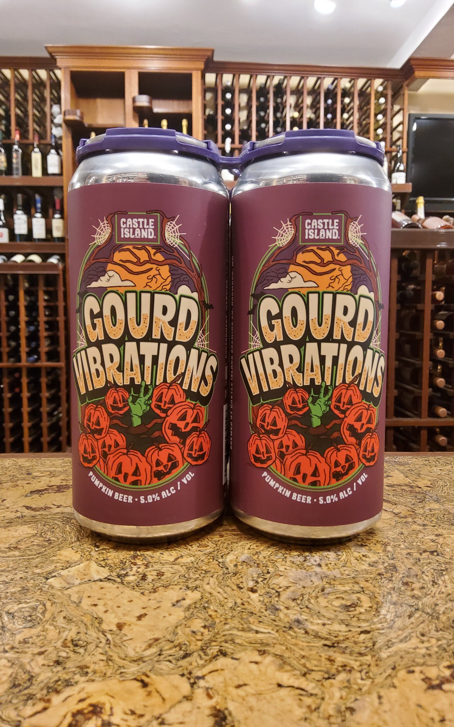 Castle Island Gourd Vibrations Pumpkin Ale 4pk