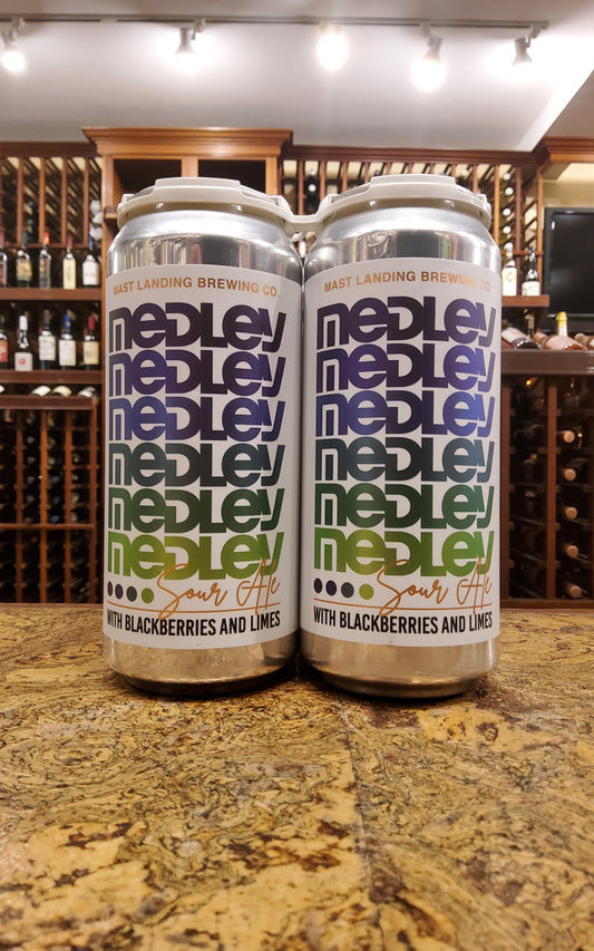 Mast Landing Medley Sour 4pk