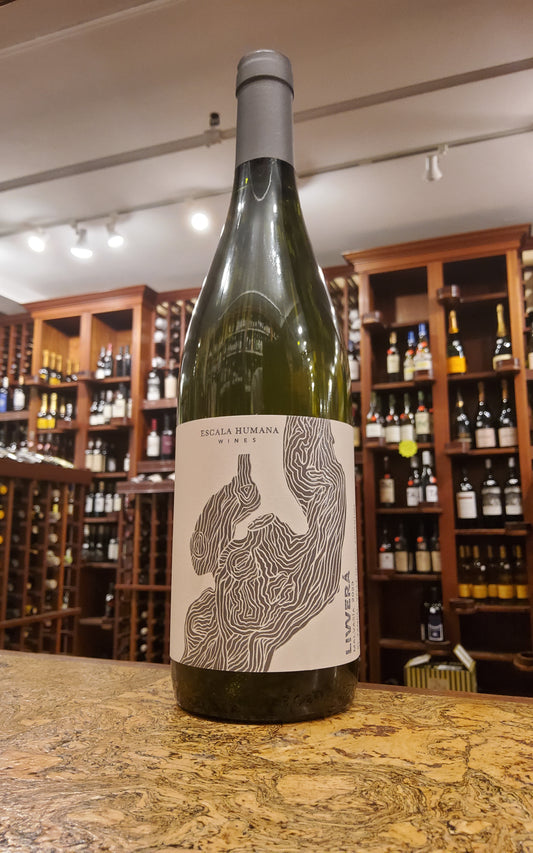 Escala Humana 'Livvera' Malvasia 2023