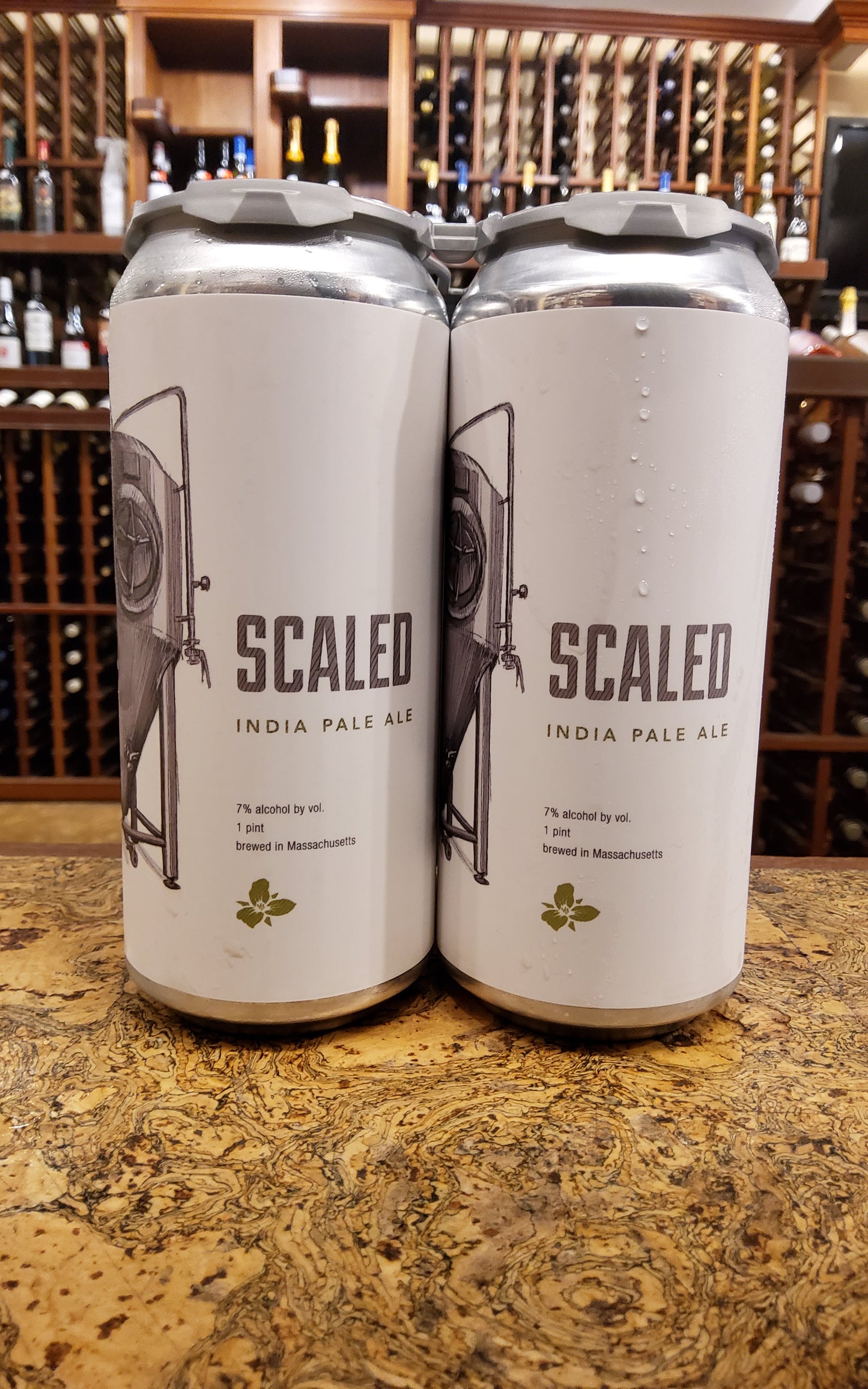 Trillium Scaled IPA 4pk