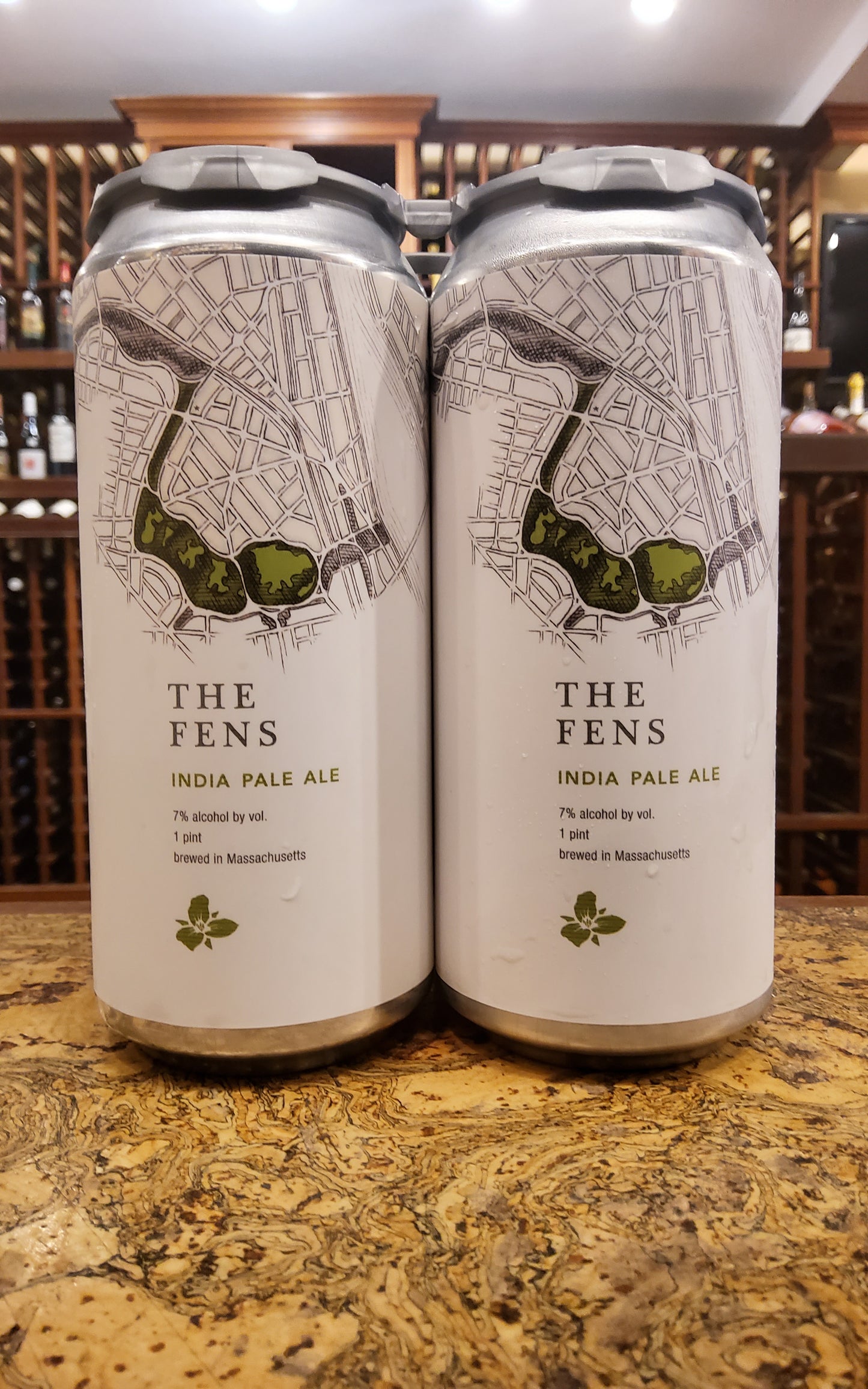 Trillium The Fens IPA 4pk