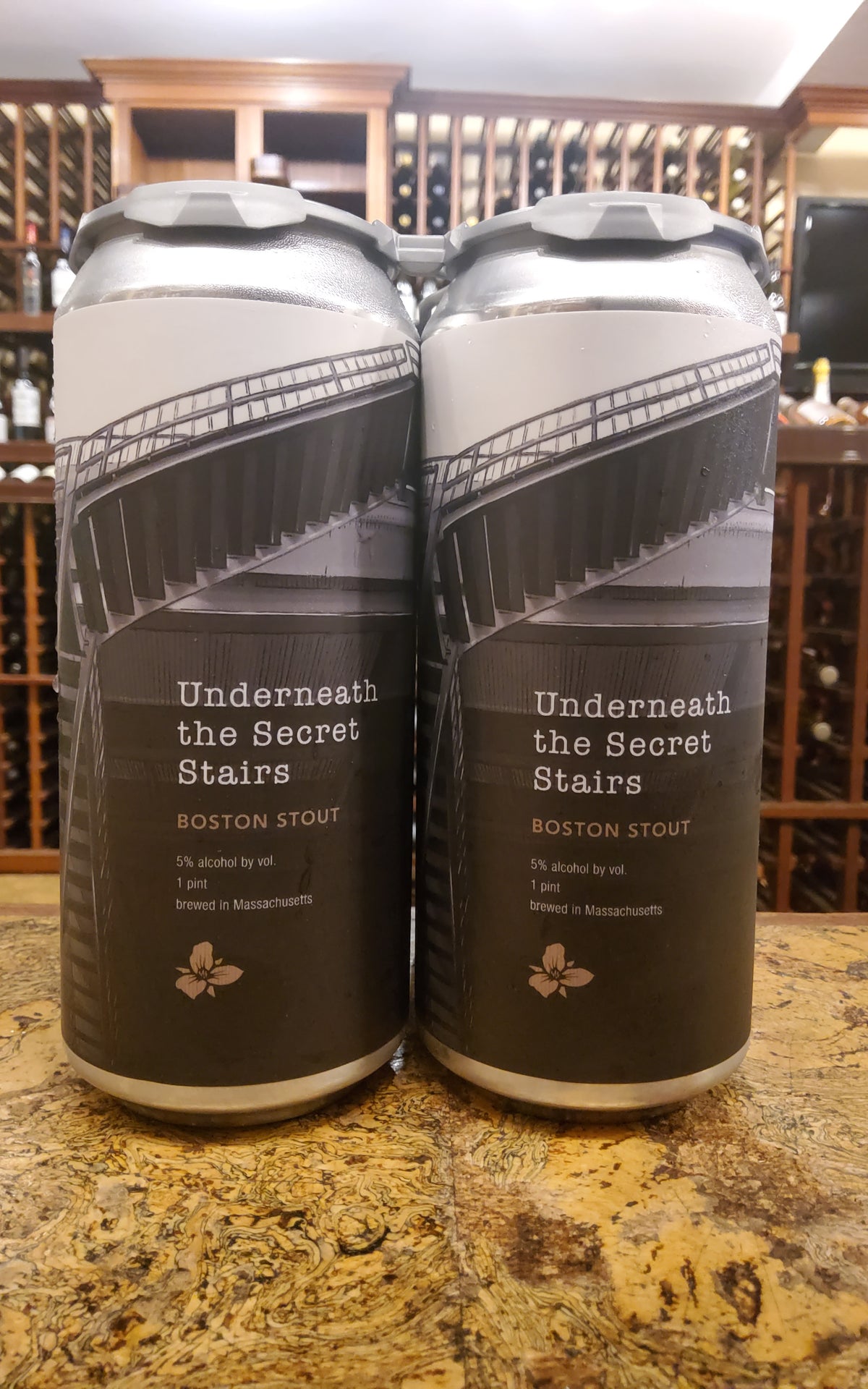 Trillium Underneath the Secret Stairs Stout 4pk